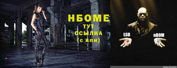 прущие грибы Абаза