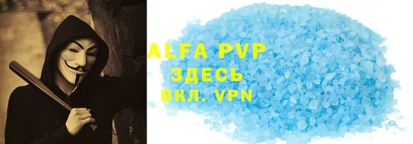 прущие грибы Абаза