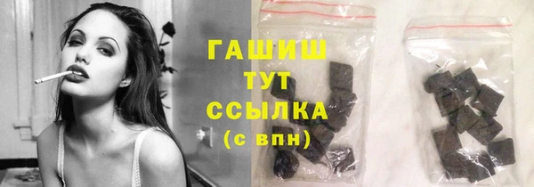 прущие грибы Абаза