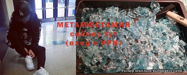 прущие грибы Абаза