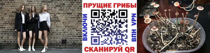 Галлюциногенные грибы Magic Shrooms  Зея 